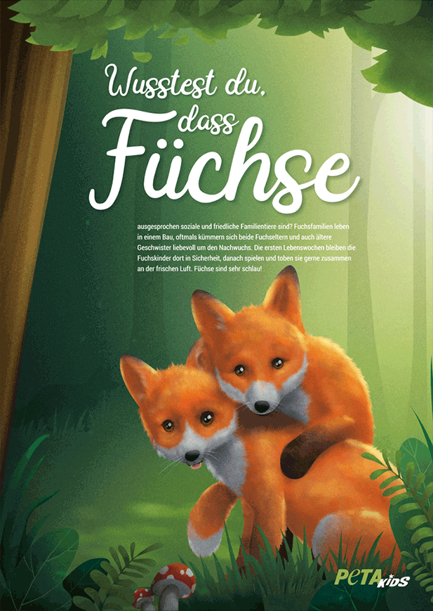 Wusstest du, dass Füchse … – Poster