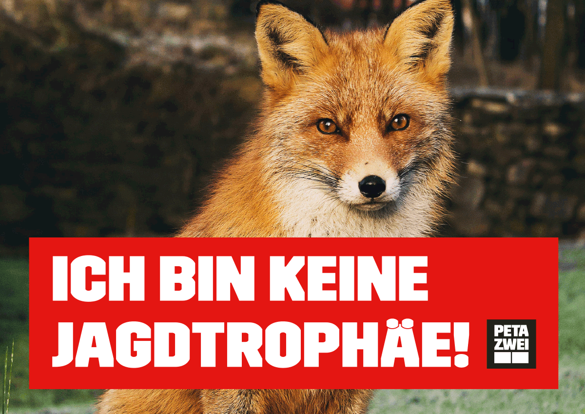 Ich bin keine Jagdtrophäe! – Fuchs – Poster