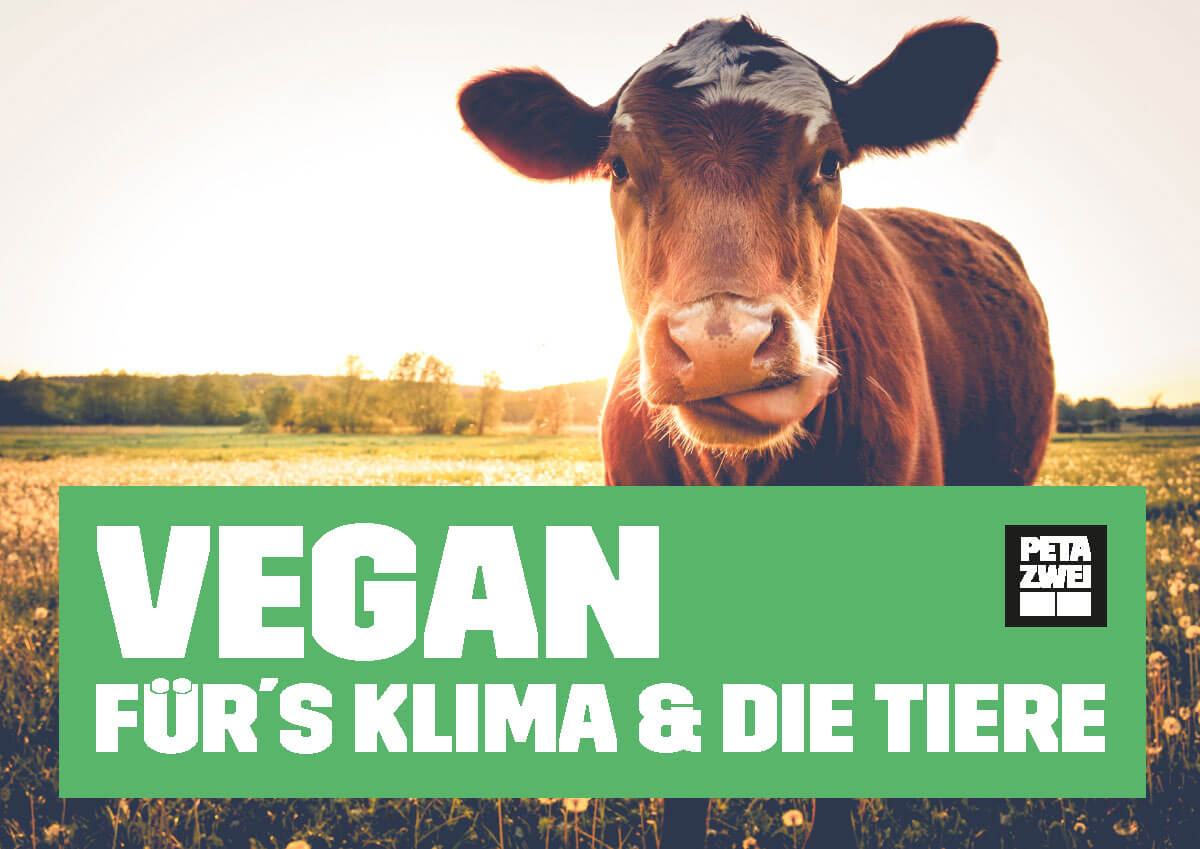 Vegan fürs Klima und die Tiere – Sticker