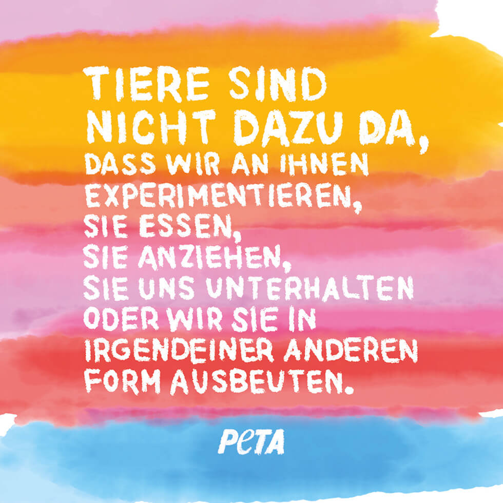 PETAs Motto – Sticker
