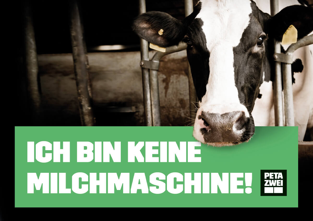 Ich bin keine Milchmaschine! – Poster