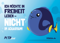 peta kids sticker fische aquarium