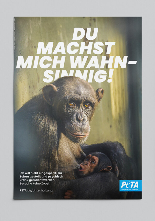 PETA Poster mit Affe: Du machst mich wahnsinnig