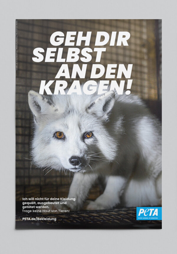 PETA Poster mit Fuchs: Geh dir doch selbst an den Kragen