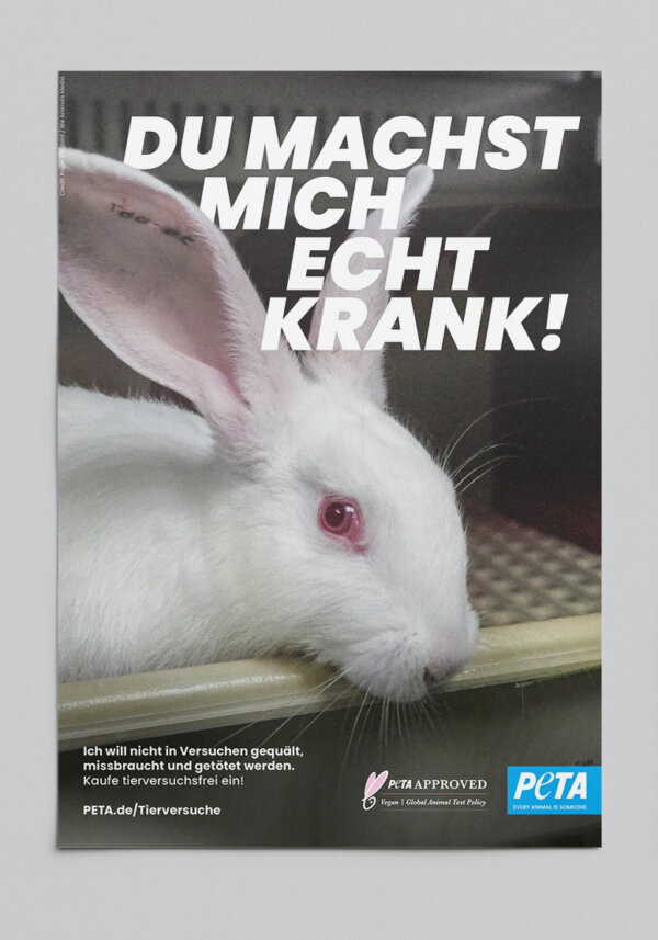 PETA Poster mit Hase: Du machst mich echt krank