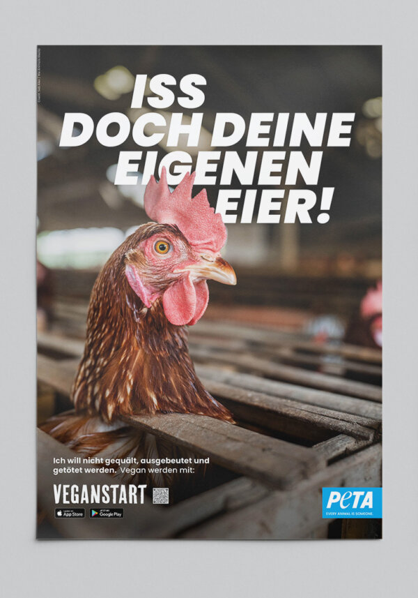 PETA Poster mit einem Huhn: Iss doch deine eigenen Eier