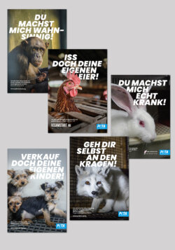 PETA Poster Set