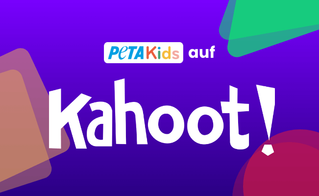 Interaktive Lerninhalte auf Kahoot entdecken! product image