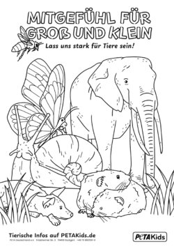 Mitgefühl für Groß und Klein - diverse Tiere