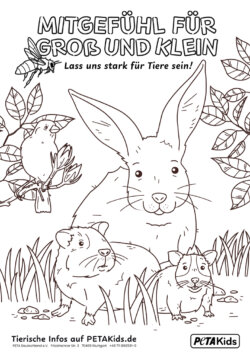 Ausmalbild Kleintiere