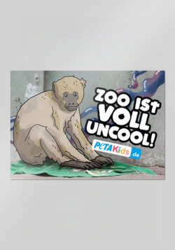 Affen mit dem Spruch Zoo ist voll uncool!