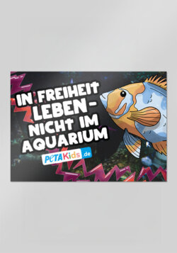 Sticker Fisch – In Freiheit Leben – nicht im Aquarium