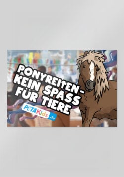 Sticker – Ponyreiten – kein Spaß für Tiere
