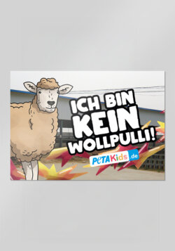 Schaf: Ich bin kein Wollpulli!