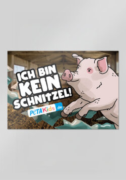 Sticker Schwein – Ich bin kein Schnitzel