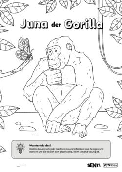 Gorilla Juna Ausmalbild