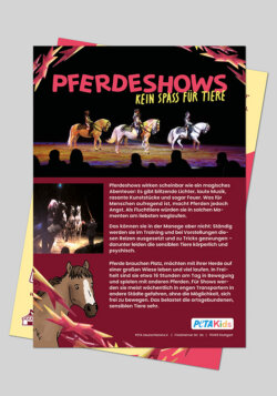 Flyer über Tierleid in Pferdeshows