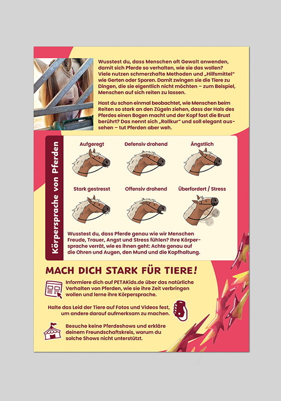 Flyer – Pferdeshows: kein Spaß für Tiere – Bild 2